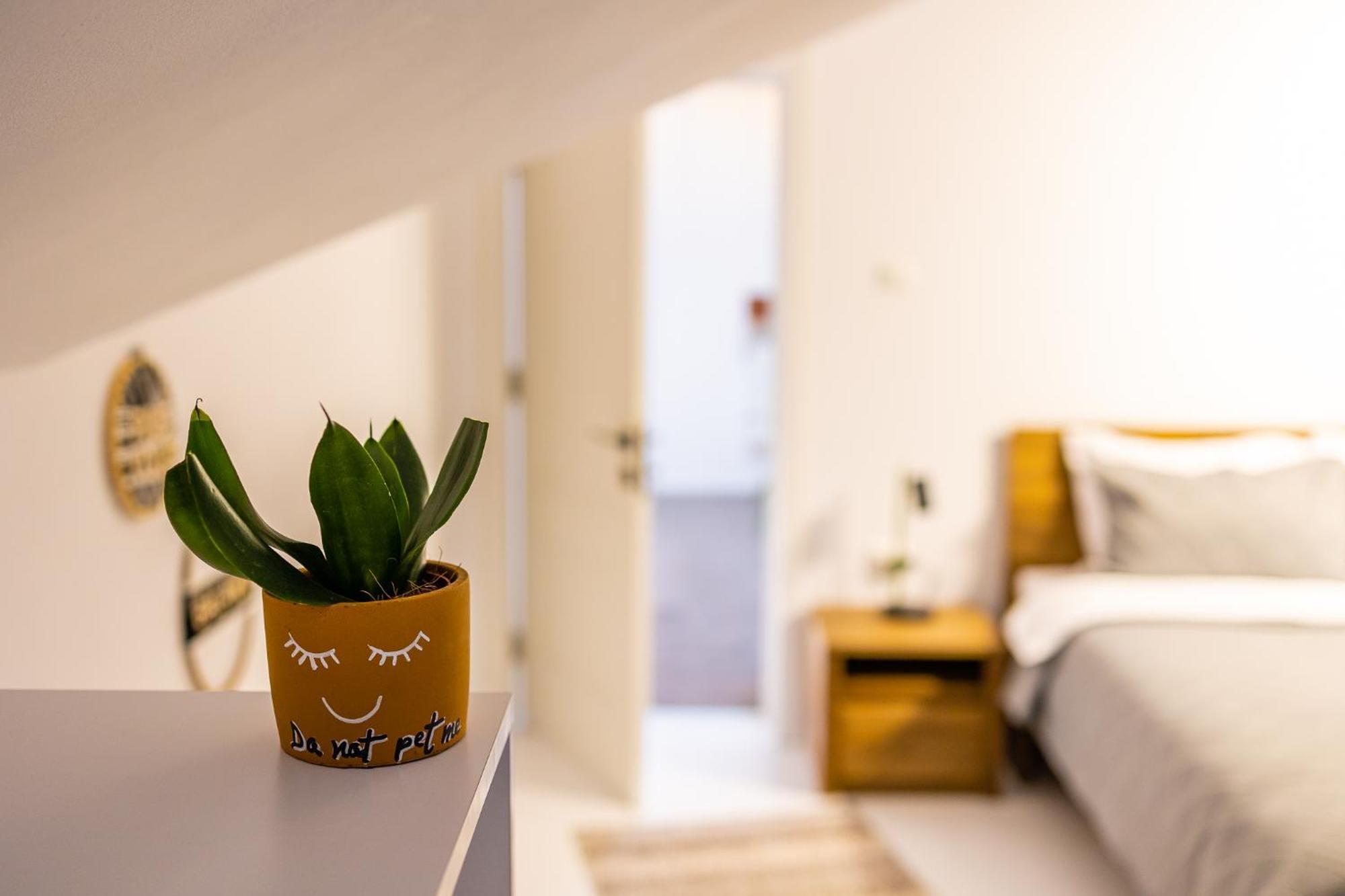Bed and Breakfast In Longfield Town Câmpulung Moldovenesc Exteriér fotografie