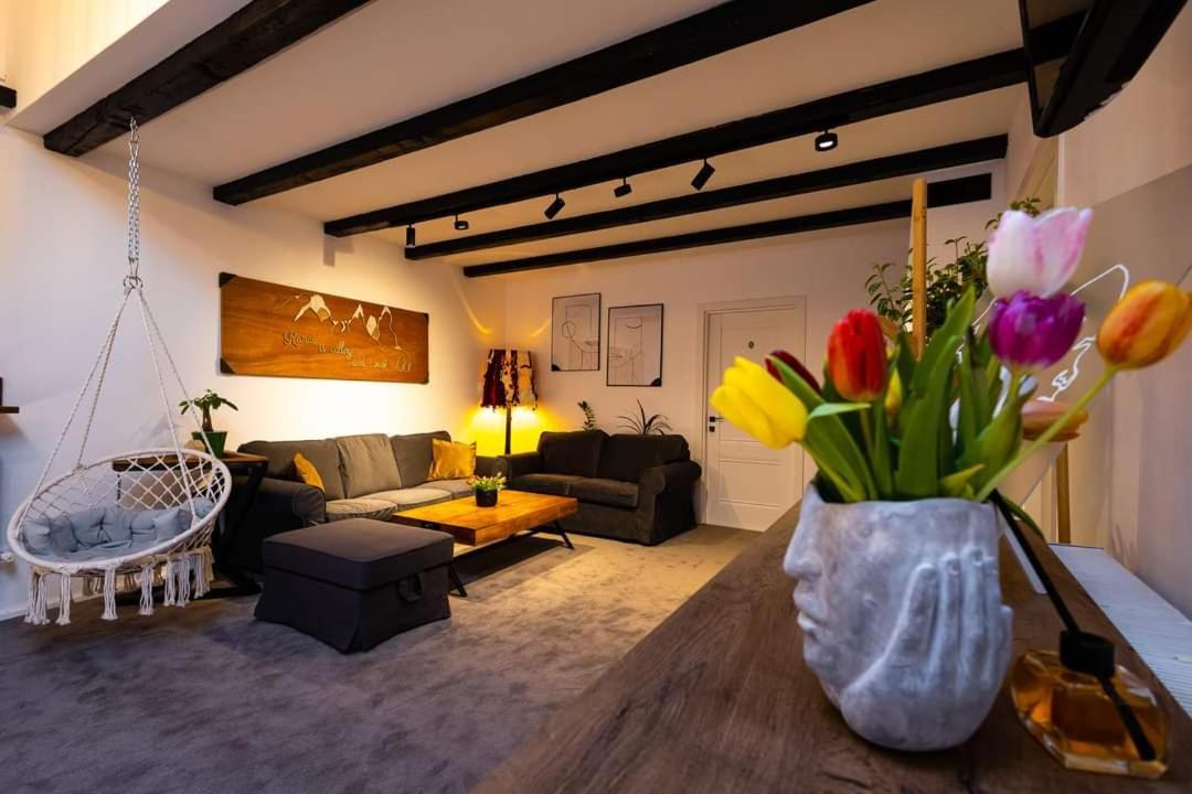 Bed and Breakfast In Longfield Town Câmpulung Moldovenesc Exteriér fotografie